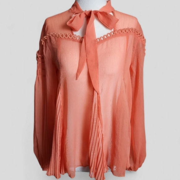 Anthroplogie |Rianna Gill Elegant ,Pleated Women's Peach Blouse with Tie Neck - Picture 1 of 8